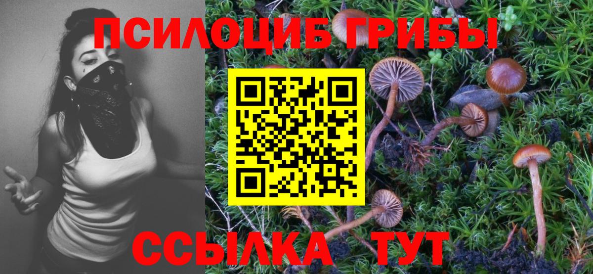 Екатеринбург  Псилоцибиновые грибы ЛСД  Вход с VPN 